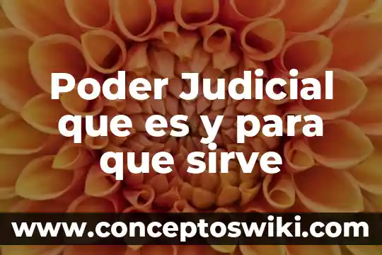 Flujómetro digital para agua: qué es y para qué sirve 8 Poder Judicial que es y para que sirve