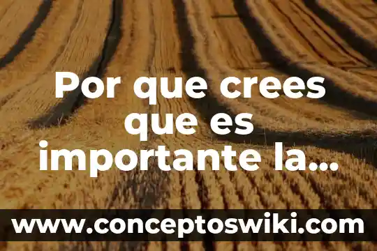 Crees que es importante conocer el sustento legal y normativo 3 Por que crees que es importante la programasion