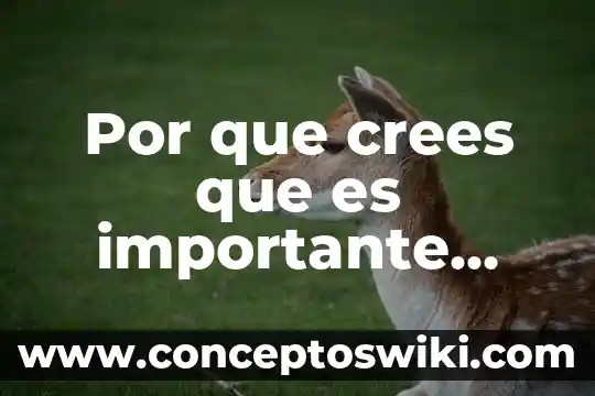 Porque crees que es importante el folclor para un pueblo 8 Por que crees que es importante tener debates politicos