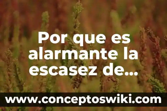 Por que es un cuandio tenporal del agua 3 Por que es alarmante la escasez de agua