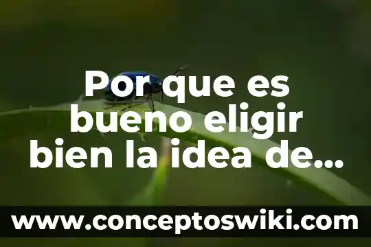 Por que es importante refutar una idea segun popper 7 Por que es bueno eligir bien la idea de negocio
