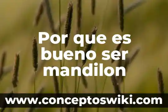 Que es ser imbecil segun fernando savater 4 Por que es bueno ser mandilon