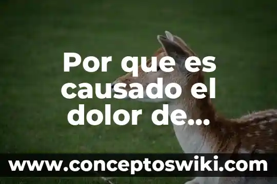 Que es bueno para el dolor de diverticulitis 4 Por que es causado el dolor de cabeza