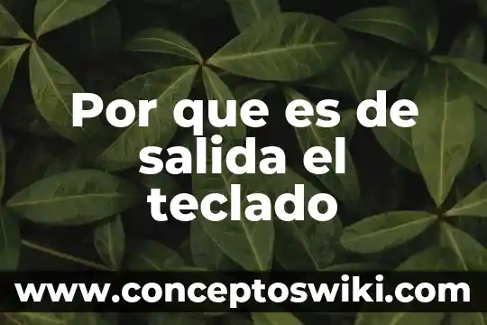 Qué es un cuadro de salida 5 Por que es de salida el teclado