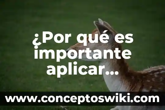 Qué es estrategia organizacional según 5 ¿Por qué es importante aplicar diagnóstico organizacional en las empresas?