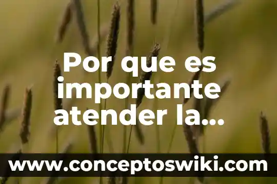 Que es el concepto migracion 3 Por que es importante atender la migracion