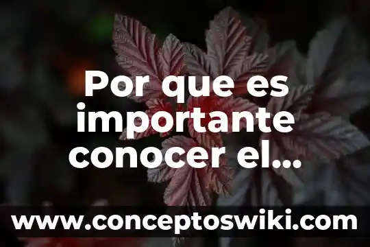 Que es mas color jabon liquido 3 Por que es importante conocer el color de los suelos