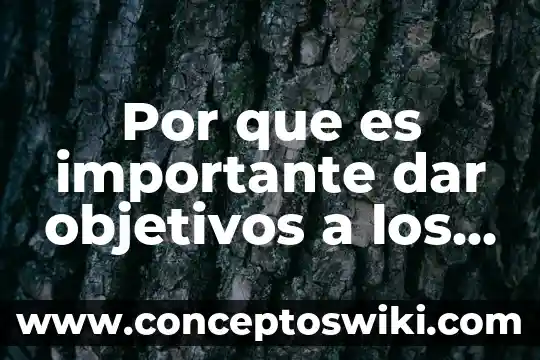Que es transaccion y dar ejemplos 8 Por que es importante dar objetivos a los alumnos