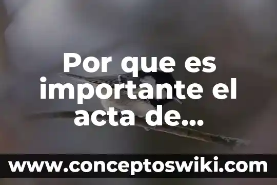 Que es una constitucion unam 7 Por que es importante el acta de constitución del proyecto