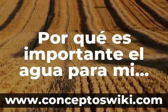 Qué es el número del empleado de mi tarjeta 3 Por qué es importante el agua para mi vida