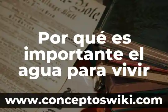 ¿Qué es la dureza del agua? 7 Por qué es importante el agua para vivir