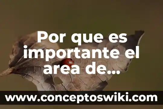 Por qué es importante donar sangre 5 Por que es importante el area de recursos humanos