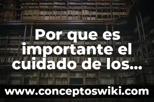Por que es importante cuidar los dientes de leche 4 Por que es importante el cuidado de los dientes