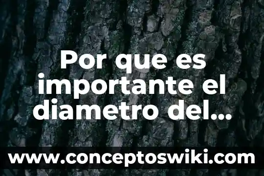 Qué es la válvula de escape en los medios 3 Por que es importante el diametro del tubo del escape