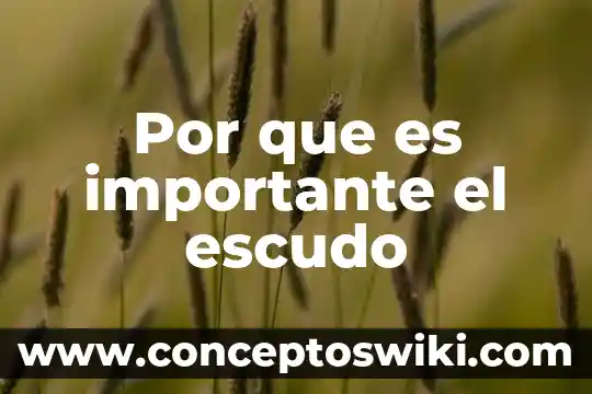 Qué es una hoja de cálculo ejemplos 4 Por que es importante el escudo
