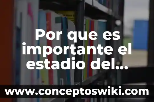 Frase de lo importante que es dormir 6 Por que es importante el estadio del chivas