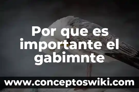 Por que es importante la contratacion 7 Por que es importante el gabimnte