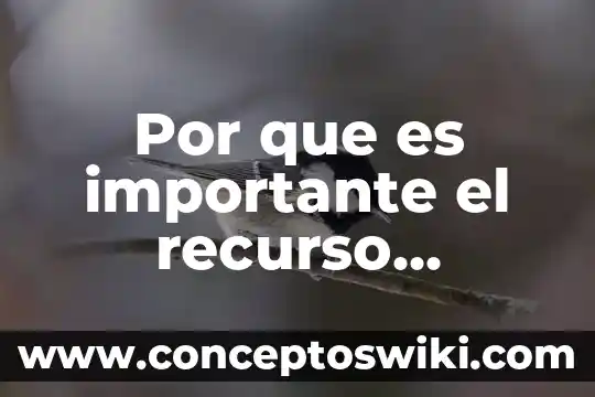 Que es el interes fiscal de la federacion 6 Por que es importante el recurso administrativo codigo fiscal federacion