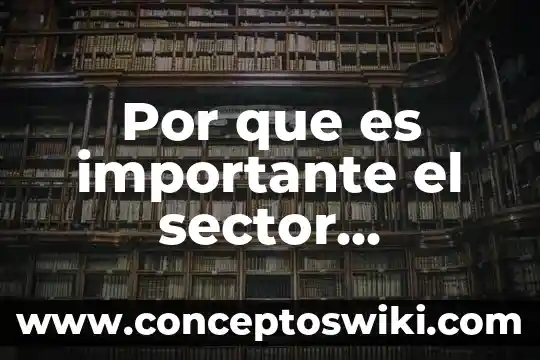 Que es un patron alimentario ejemplo 3 Por que es importante el sector alimentario