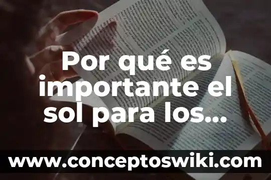 Por que es importante el respeto a los derechos humanos 4 Por qué es importante el sol para los seres humanos
