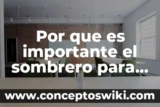 Por qué es importante la energía que llega del sol 4 Por que es importante el sombrero para el vaquero