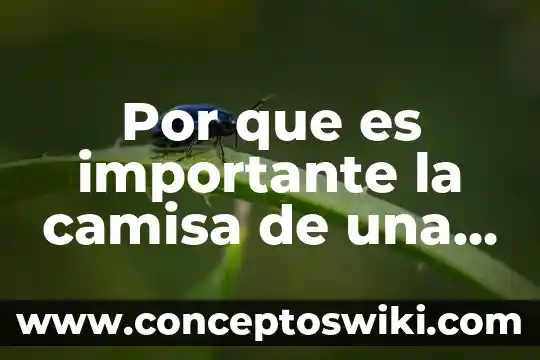 Por que es importante la contratacion 3 Por que es importante la camisa de una cuerda