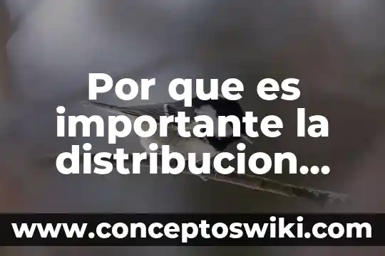 Por que es importante distribución de planta en un negocio 6 Por que es importante la distribucion normal en la nutricion