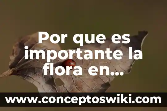 Para que es importante el agua 5 Por que es importante la flora en tejupilco