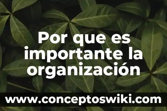 Por que es importante la contratacion 8 Por que es importante la organización