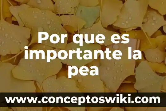 Que es un ares griego 8 Por que es importante la pea