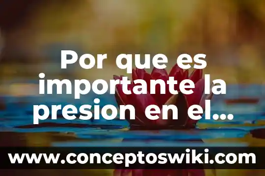 Que es la presion de trabajo del agua potable 6 Por que es importante la presion en el lcr
