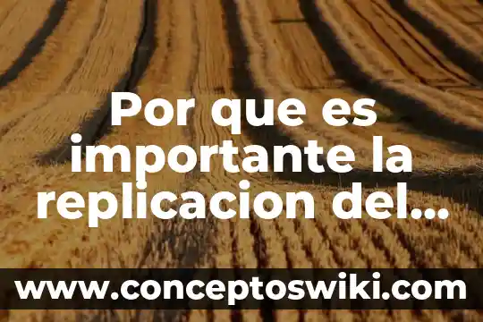 Que es el adn en las celulas 5 Por que es importante la replicacion del adn