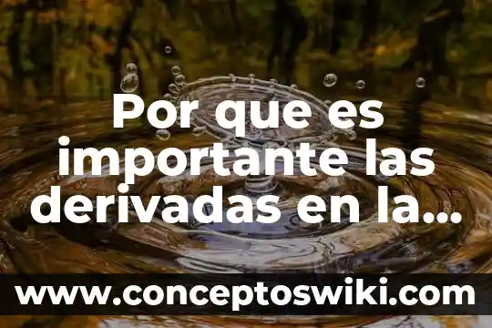 Para que es importante el agua 7 Por que es importante las derivadas en la administracion