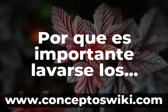 Por que es importante la poblacion 7 Por que es importante lavarse los dientes