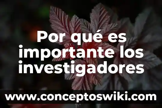 Por que es importante leer crepusculo 7 Por qué es importante los investigadores