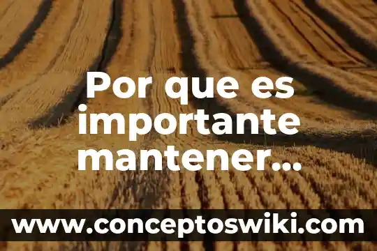 Que es gym en casa? 7 Por que es importante mantener limpia la casa