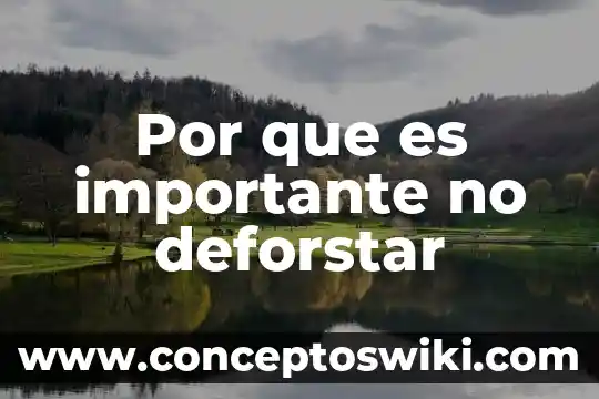 Por qué es importante los investigadores 5 Por que es importante no deforstar