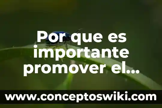 Que es definición en el deporte 8 Por que es importante promover el deporte