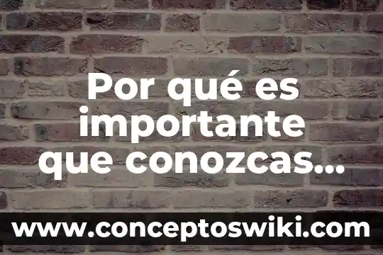 Qué es el amor octavio paz 3 Por qué es importante que conozcas la cultura de paz