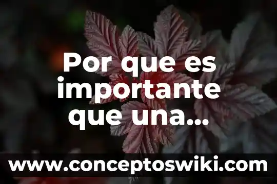 Que es una escuela modelo 5 Por que es importante que una escuela este acreditada