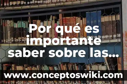 Ingresar número de póliza para saber de qué es 5 Por qué es importante saber sobre las culturas mayas
