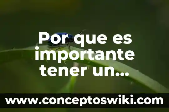 Que es importante tener en cuenta sobre las técnicas de la investigación 5 Por que es importante tener un almacen