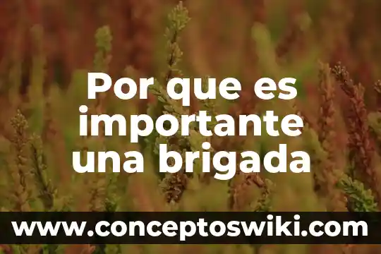 Por qué es importante la energía que llega del sol 5 Por que es importante una brigada