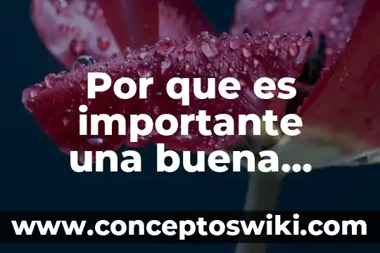 Para que es buena la planta de lavanda 3 Por que es importante una buena dieta