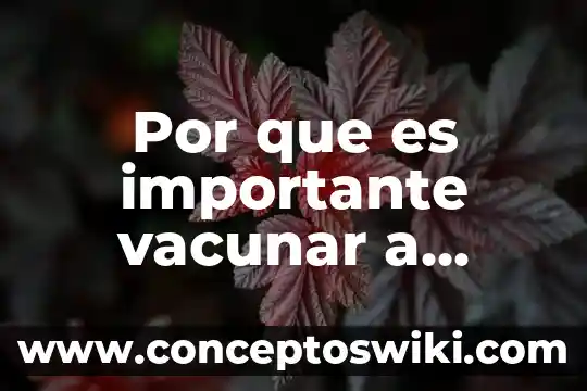 Por que es importante la contratacion 5 Por que es importante vacunar a nuestras mascotas