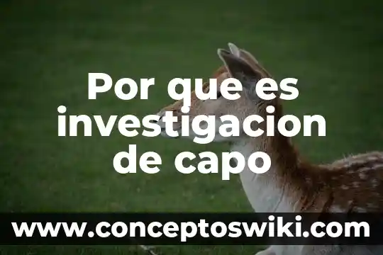 Que es investigacion sacar informacion de un libro 6 Por que es investigacion de capo
