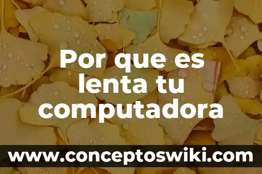 Que es funcion tiene la memoria de las computadora 4 Por que es lenta tu computadora