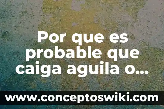 Qué es un sol cenital 3 Por que es probable que caiga aguila o sol