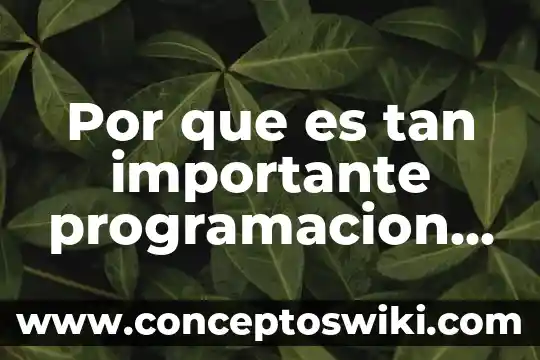 Que es una interfaz de c++ 8 Por que es tan importante programacion de una interfaz