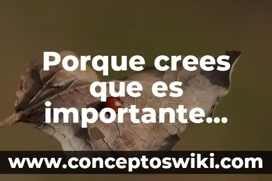 Porque crees que es importante el folclor para un pueblo 4 Porque crees que es importante clasificar los materiales